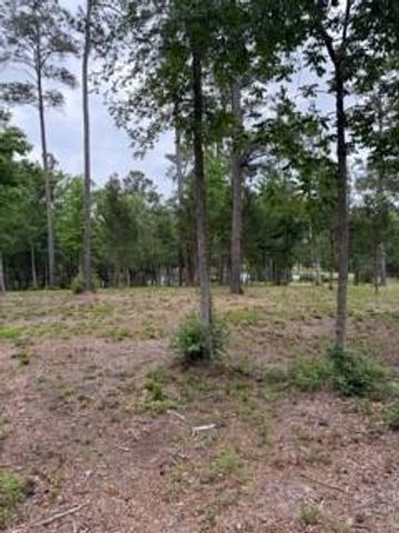 139777 Capital Creek Ranch Boulevard, Willis, TX 77378