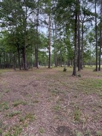 139777 Capital Creek Ranch Boulevard, Willis, TX 77378