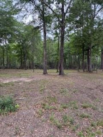 139777 Capital Creek Ranch Boulevard, Willis, TX 77378