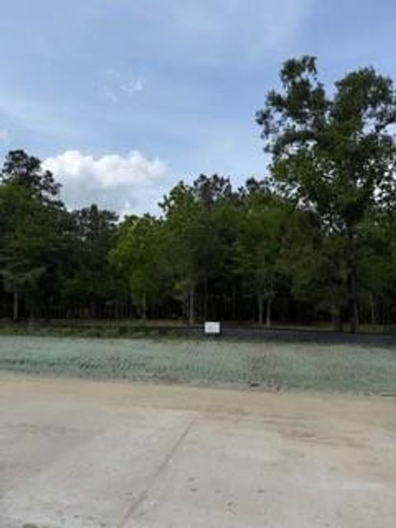 139777 Capital Creek Ranch Boulevard, Willis, TX 77378