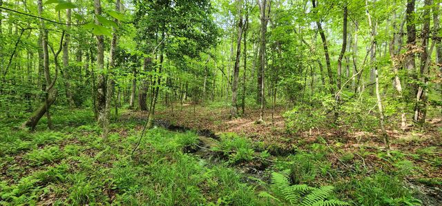 0 Windstone Drive, Sequatchie, TN 37374