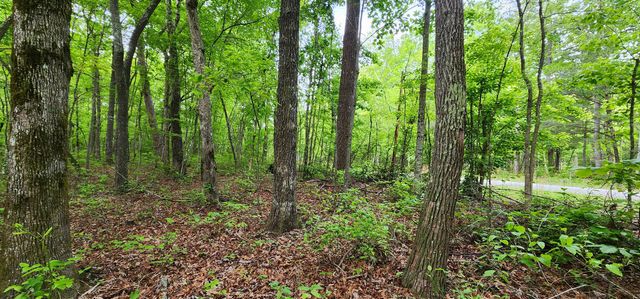 0 Windstone Drive, Sequatchie, TN 37374