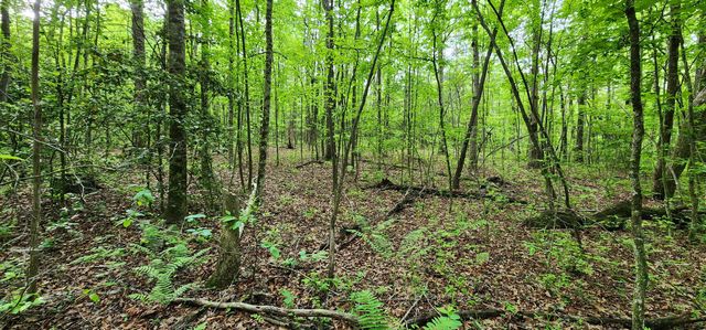0 Windstone Drive, Sequatchie, TN 37374