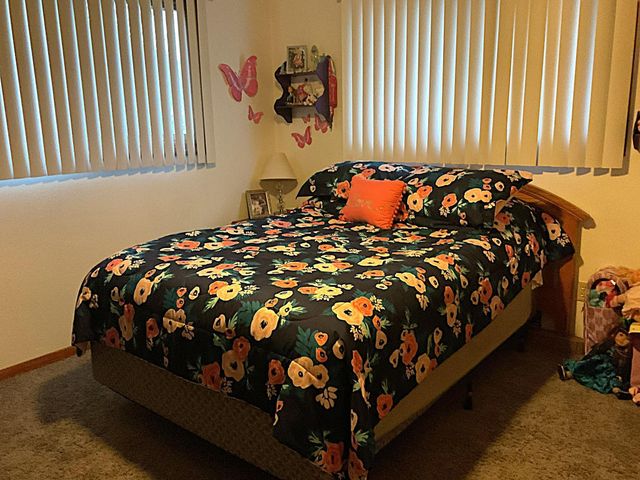 335 E Sorenson Avenue, Appleton, MN 56208