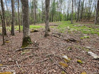 206 Goodstock Road Rd, Crossville, TN 38555