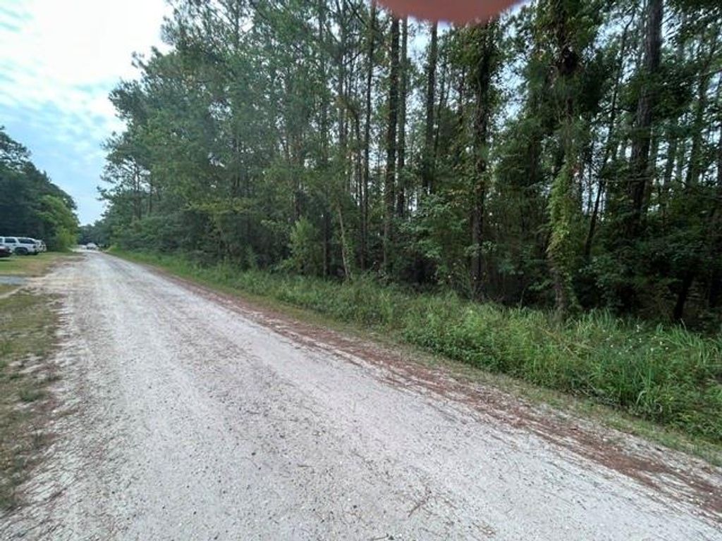 0 Highway 188, Coden, AL 36523 — exterior