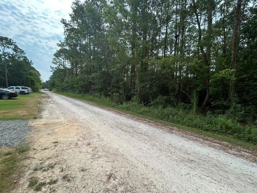 0 Highway 188, Coden, AL 36523 — photo 2