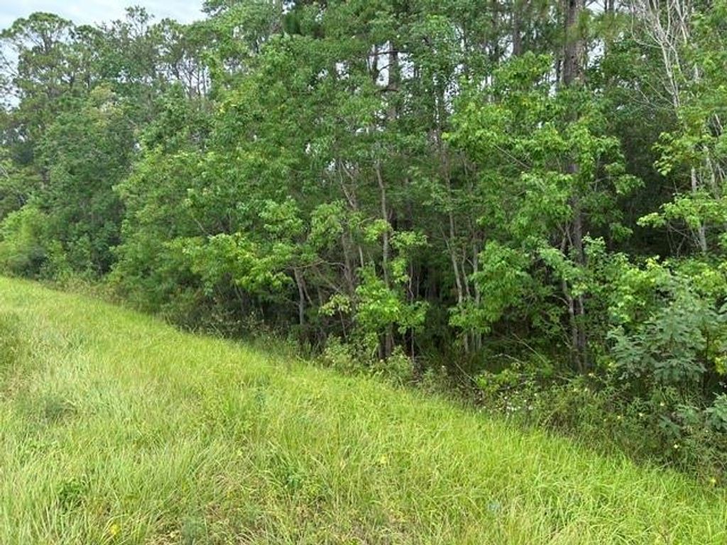 0 Highway 188, Coden, AL 36523 — photo 4