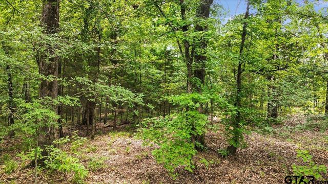 TBD CR 3289, Quitman, TX 75783
