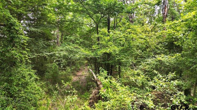 TBD CR 3289, Quitman, TX 75783