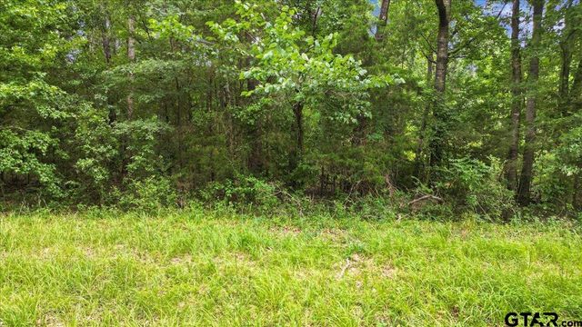 TBD CR 3289, Quitman, TX 75783