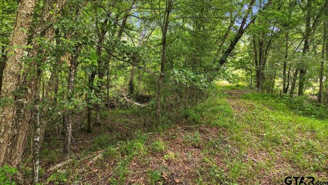 TBD CR 3289, Quitman, TX 75783
