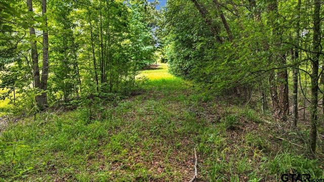 TBD CR 3289, Quitman, TX 75783