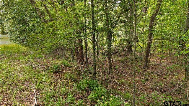 TBD CR 3289, Quitman, TX 75783