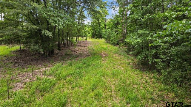 TBD CR 3289, Quitman, TX 75783
