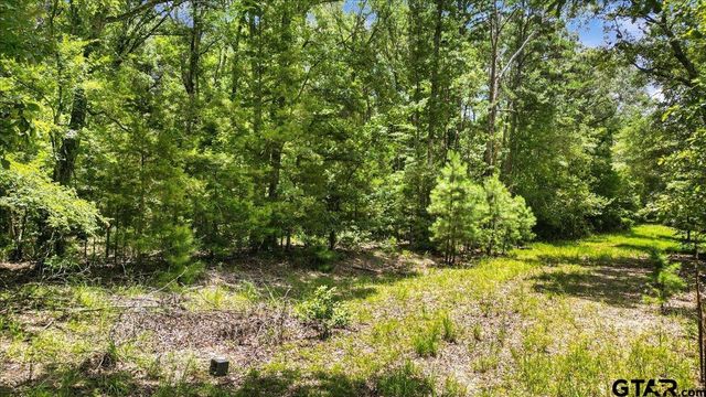 TBD CR 3289, Quitman, TX 75783
