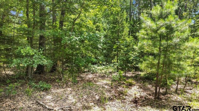 TBD CR 3289, Quitman, TX 75783