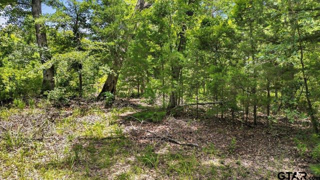 TBD CR 3289, Quitman, TX 75783