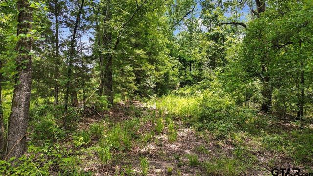 TBD CR 3289, Quitman, TX 75783