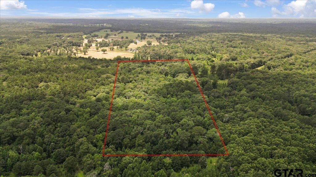 TBD CR 3289, Quitman, TX 75783