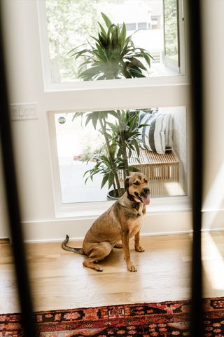 3911 Albert Dr, Nashville, TN 37204