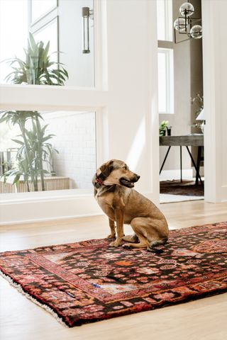 3911 Albert Dr, Nashville, TN 37204