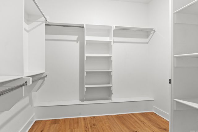 3550 Sylvia Springs, Conway, AR 72034