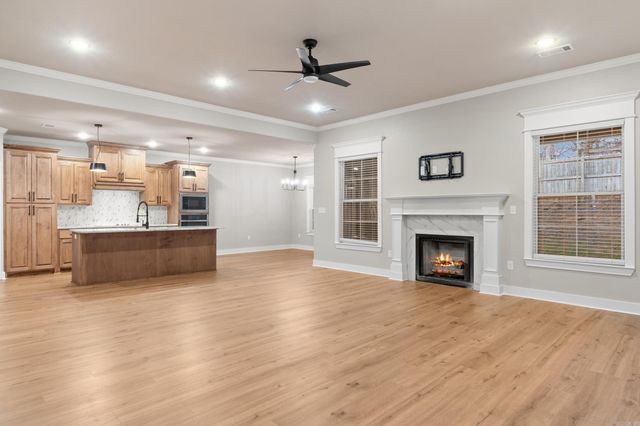 3550 Sylvia Springs, Conway, AR 72034