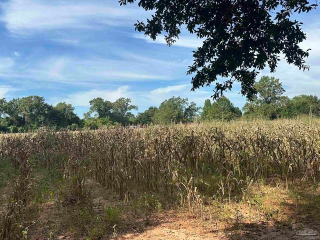 Lot 2 State Hwy 4, Jay, FL 32565