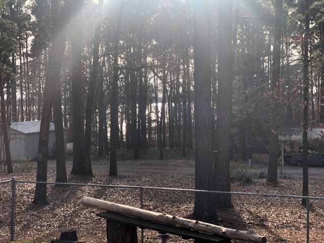 596 Autumn Trail, Jefferson, TX 75630