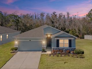 2873 STORYBROOK PRESERVE DRIVE, Odessa, FL 33556