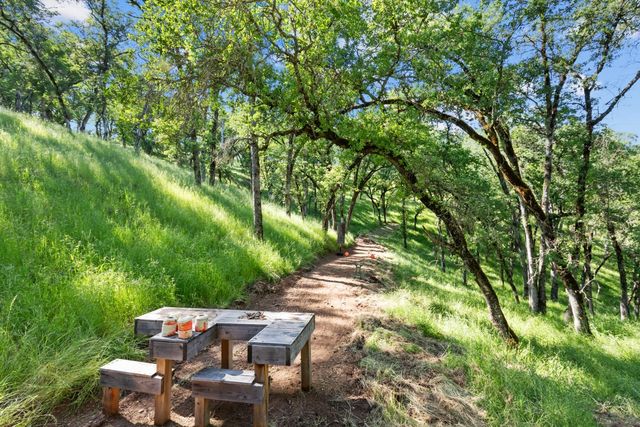 14883 Vaira Ranch Road, Drytown, CA 95699