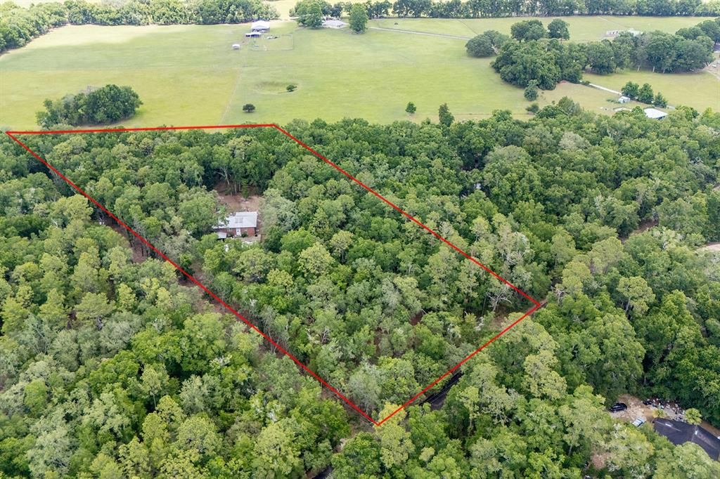 8290 MELROSE ROAD, Melrose, FL 32666