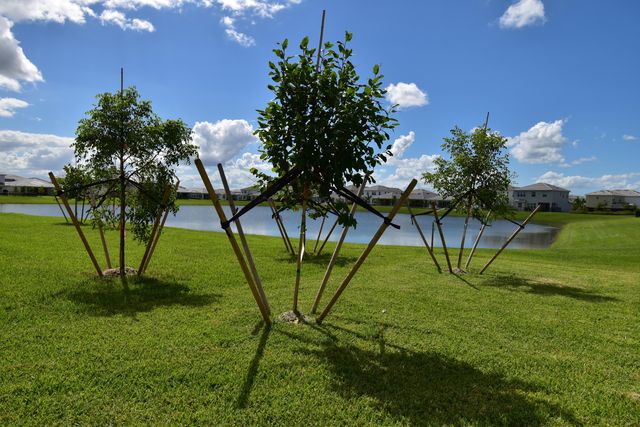 5773 Aleppo Pne Place, Westlake, FL 33470