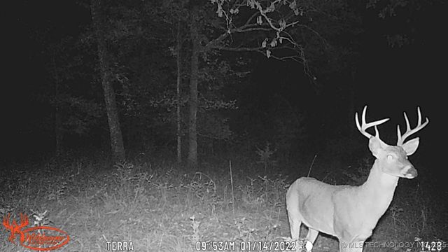 98686 S 4540 Road, Vian, OK 74962