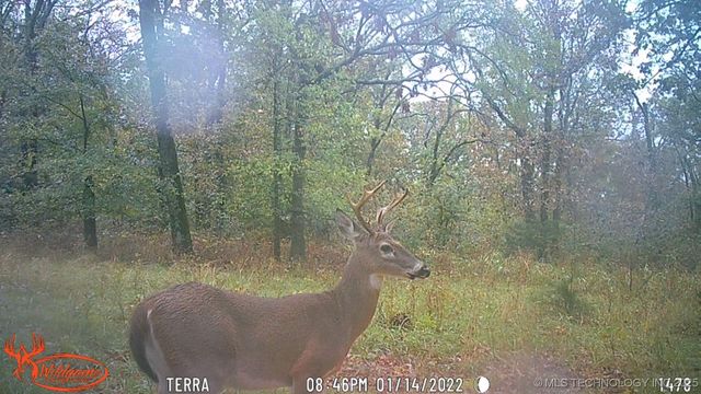 98686 S 4540 Road, Vian, OK 74962