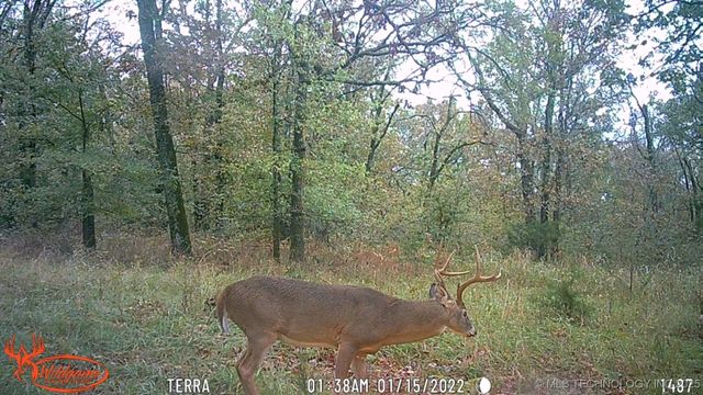 98686 S 4540 Road, Vian, OK 74962