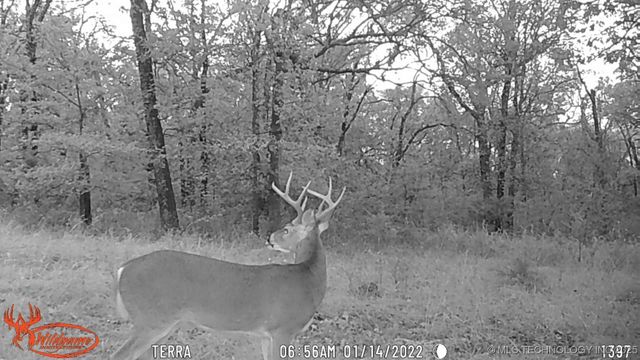 98686 S 4540 Road, Vian, OK 74962