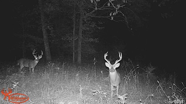 98686 S 4540 Road, Vian, OK 74962