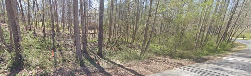 0 Cambridge Lane, Bremen, GA 30110