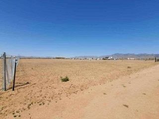 0 W Turkey Tract Road, Dolan Springs, AZ 86441