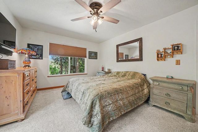 16775 S Silver Dr, Pioneer, CA 95666