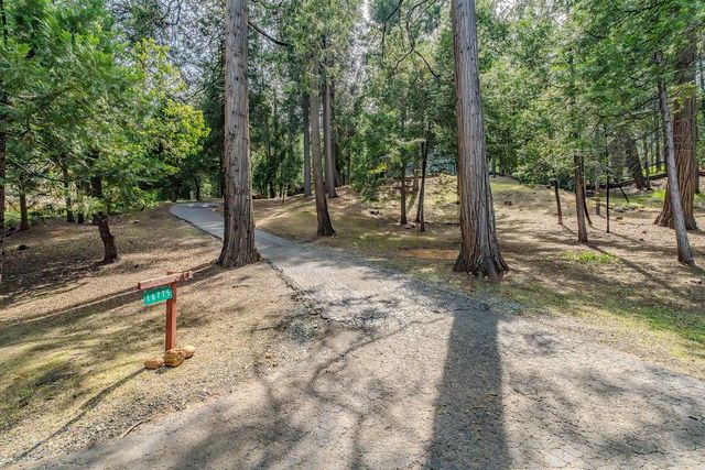 16775 S Silver Dr, Pioneer, CA 95666
