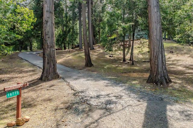 16775 S Silver Dr, Pioneer, CA 95666
