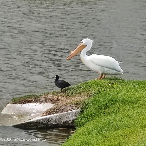 2061 Tiburon Lane, Melbourne, FL 32940