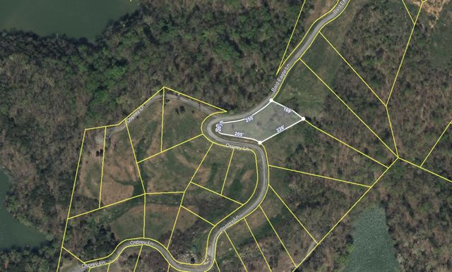 0 Bald Eagle Lane, Hilham, TN 38568