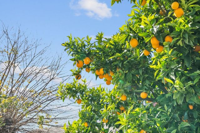 4117 Gion Avenue, San Jose, CA 95127