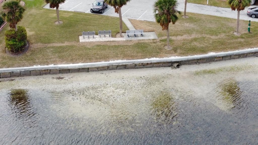 Image 64 of property listing at 4104 CATALINA DRIVE, Bradenton, FL 34210