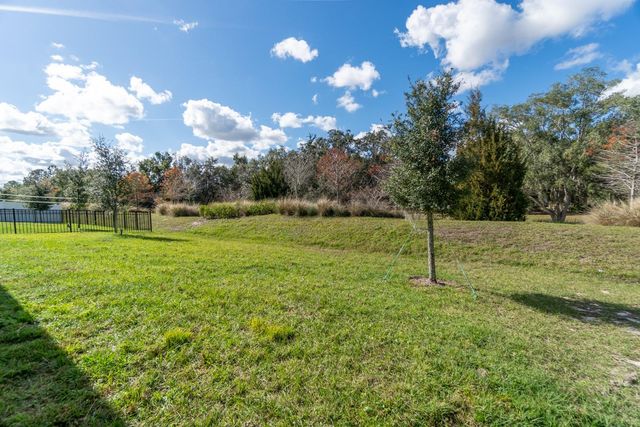 1908 PERCH HAMMOCK LOOP, Groveland, FL 34736