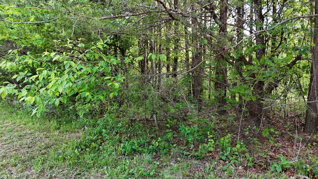 10 Windstone Drive, Tracy City, TN 37387